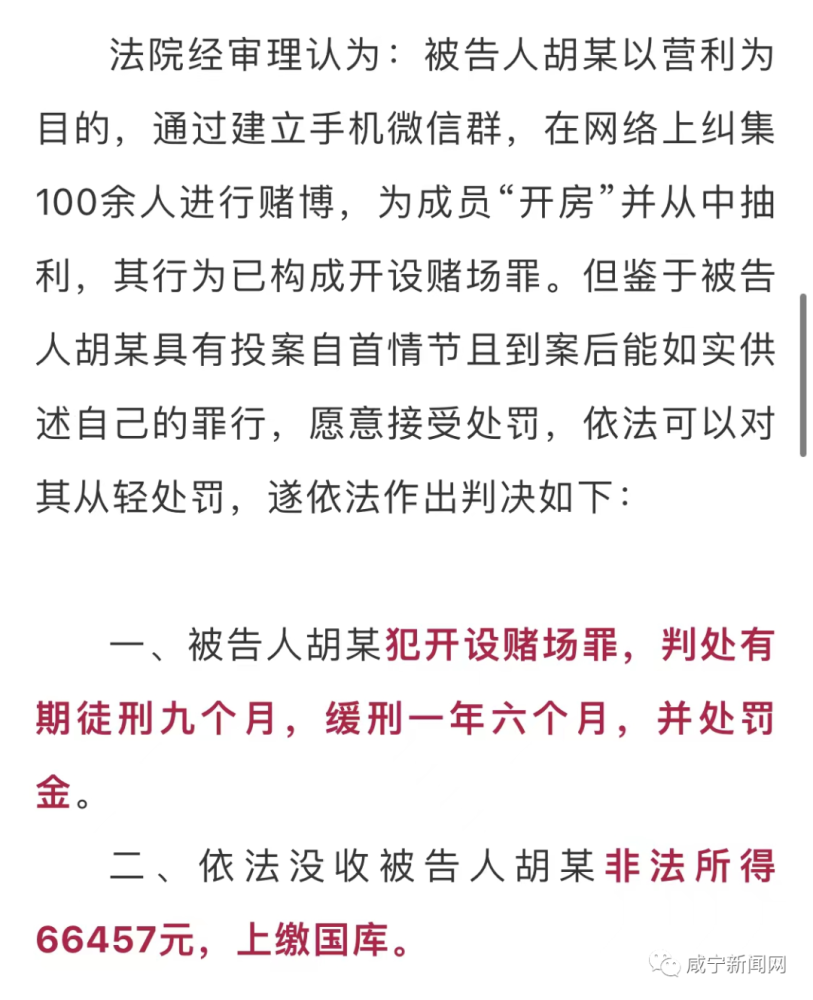 新澳门六开彩免费网站与立法释义解释落实，探究背后的违法犯罪问题