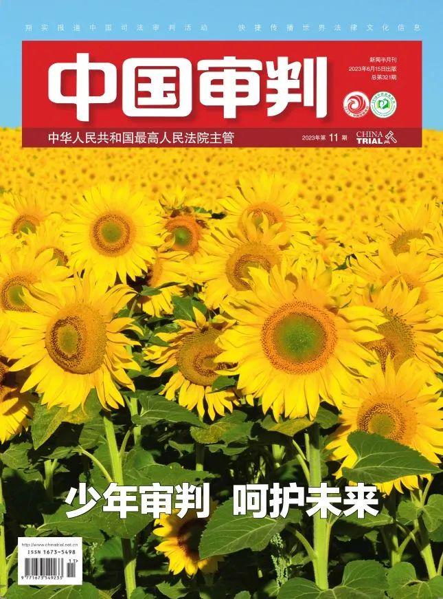 探索49图库资料大全图片，造诣、释义、解释与落实的艺术之旅