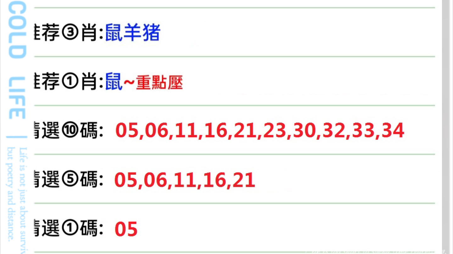 今晚澳门特马号码推理与释义解释落实