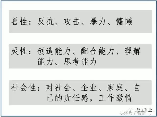 关于600图库大全免费资料图2025与性设释义解释落实的综合探讨