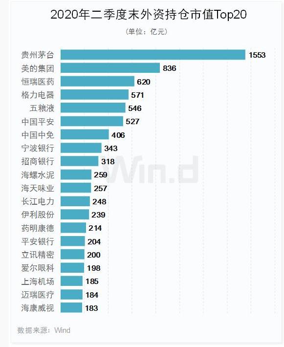 探索网络现象，解析99久热在线精品与996热背后的含义与落实