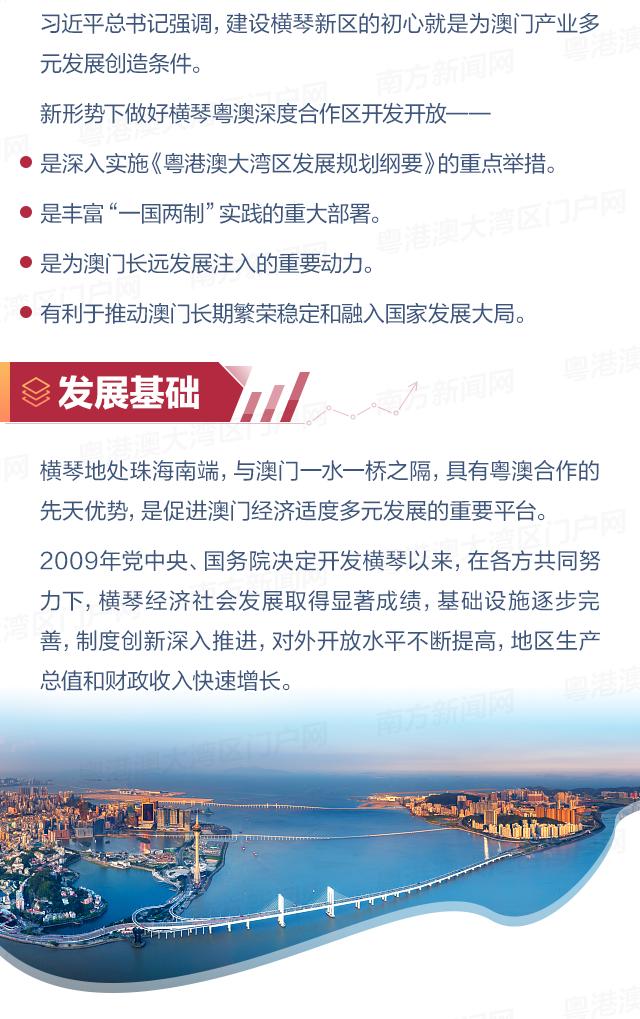 今晚澳门码特开什么号码，深度解析与释义解释落实