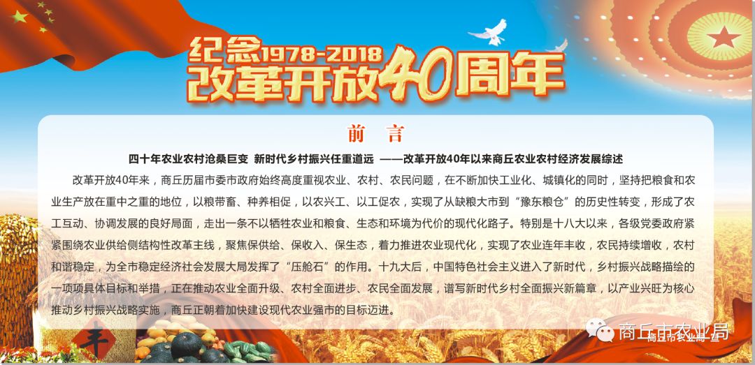 迈向2025，正版资料免费公开的实践之路与风范释义的落实