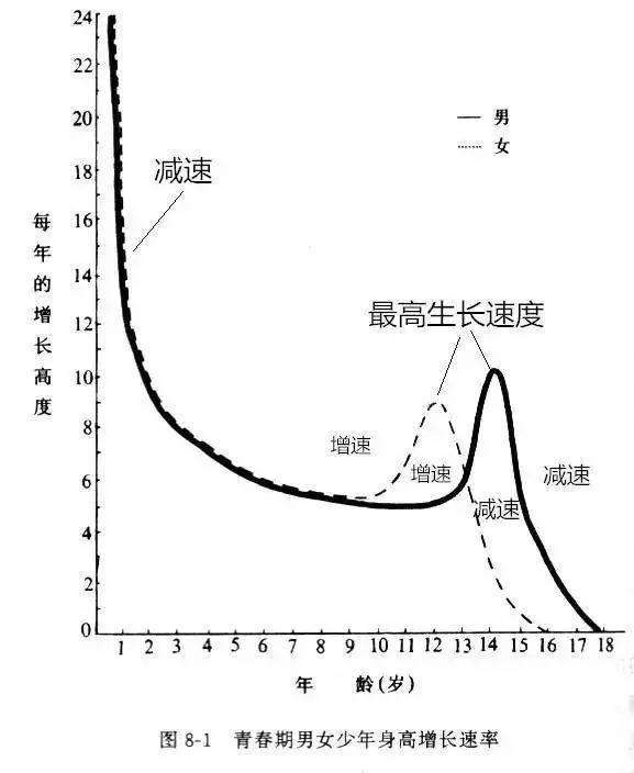 二四六管家婆期期准资料，增长释义解释落实的重要性