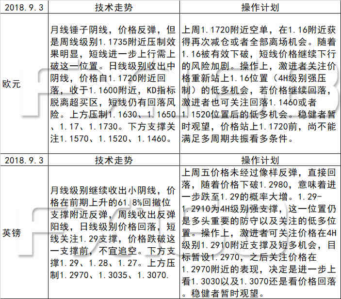 揭秘新澳天天开奖记录，能手释义解释与落实的奥秘