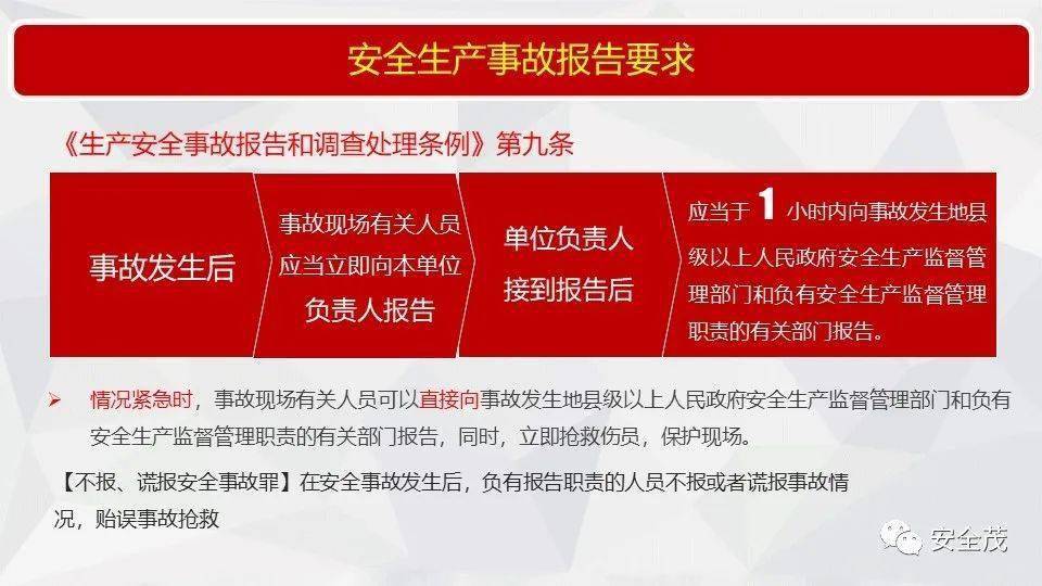 新澳精准资料免费提供，第510期的深入释义与落实解释