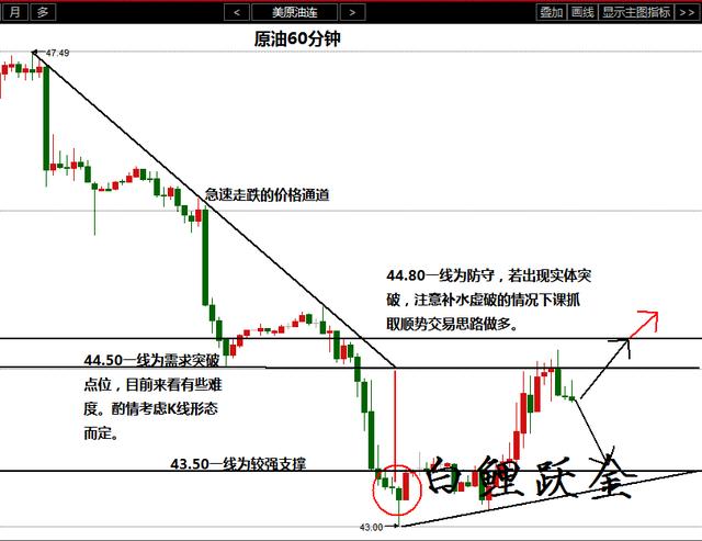 管家婆最准一码一肖，精准预测与深入解析的实践之道