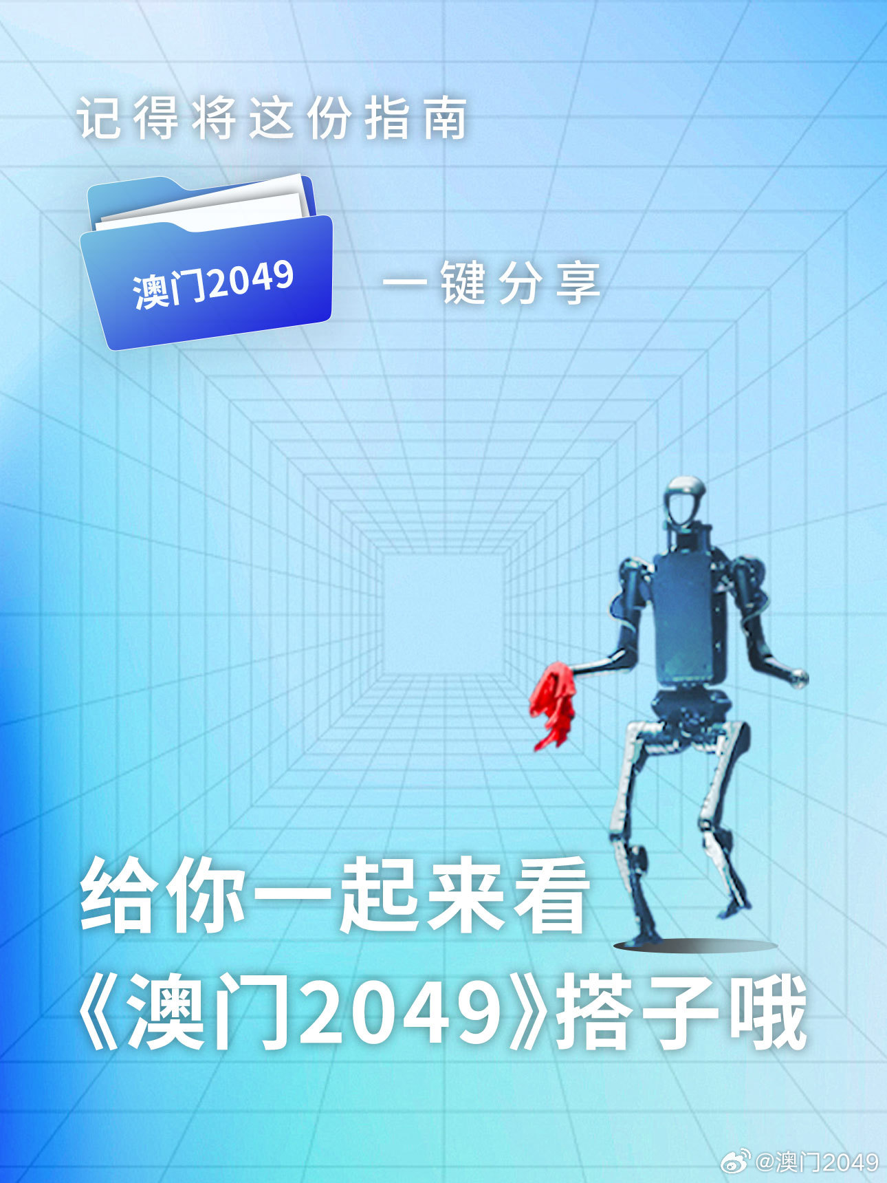 澳门王中王100%的资料解析与落实策略，走向未来的探索之旅（2025展望）