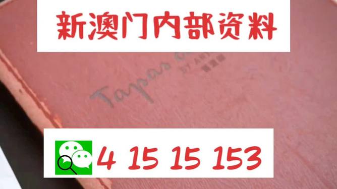 新澳门精准的资料大全，即刻释义解释落实的重要性