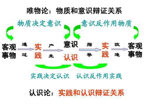 新澳精准资料免费提供265期，取胜释义解释落实的重要性