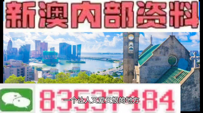 新澳今天最新资料995，研究释义、解释与落实