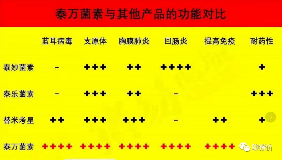 新澳门免费全年资料查询，组合释义、解释与落实的重要性