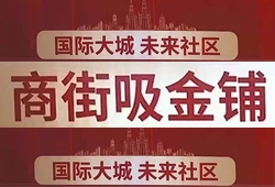 探索澳门王中王背后的故事与未来展望，洗练释义解释落实的历程