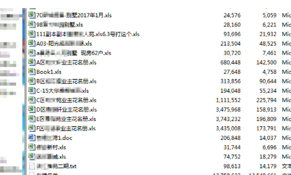 精准一肖一码一子一中，学习释义解释与落实的重要性