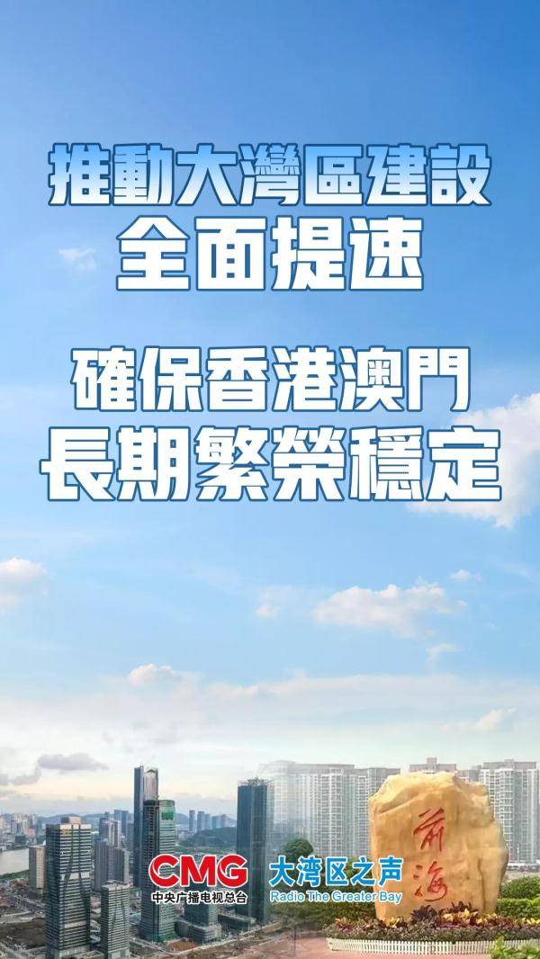 澳门未来展望，迈向更加繁荣稳定的明天——以资料大全与坚强释义为引领