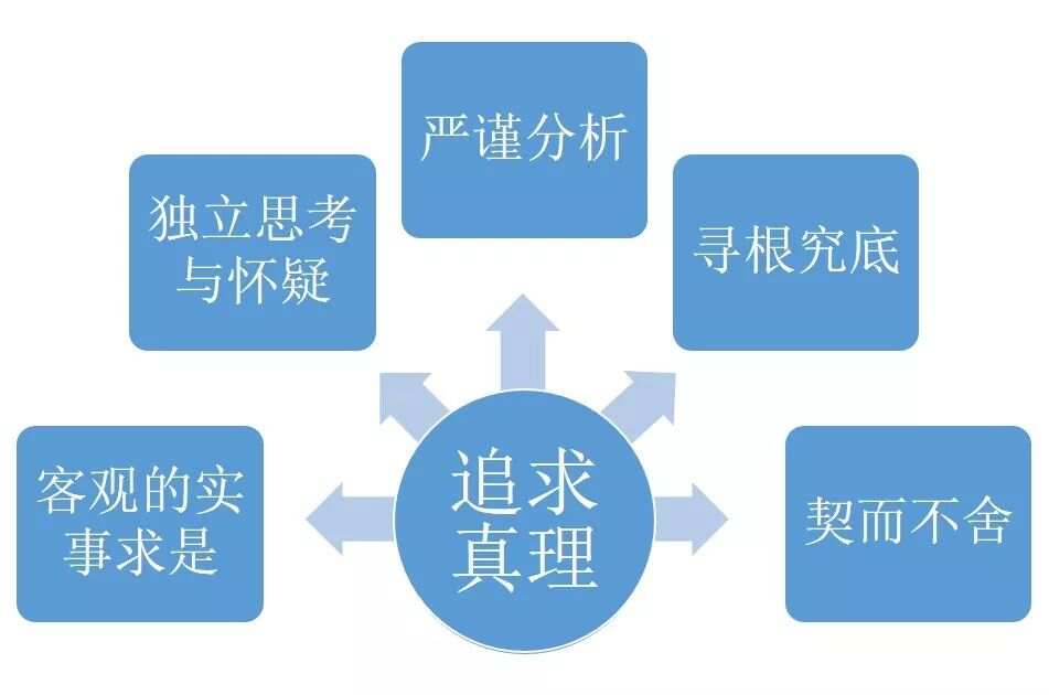 探究王中王传真与逆风释义，落实与解释的重要性