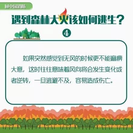 探索未来之门，关于新奥正版资料的共享与合一释义的落实