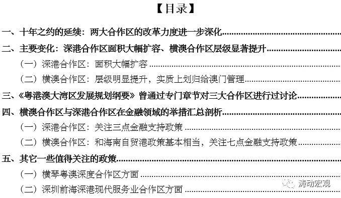 新澳最新资料解读与未来展望，2025年的蓝图与最佳释义解释落实