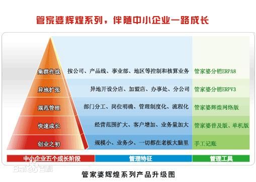 精准管家婆全准，释义解释与落实策略