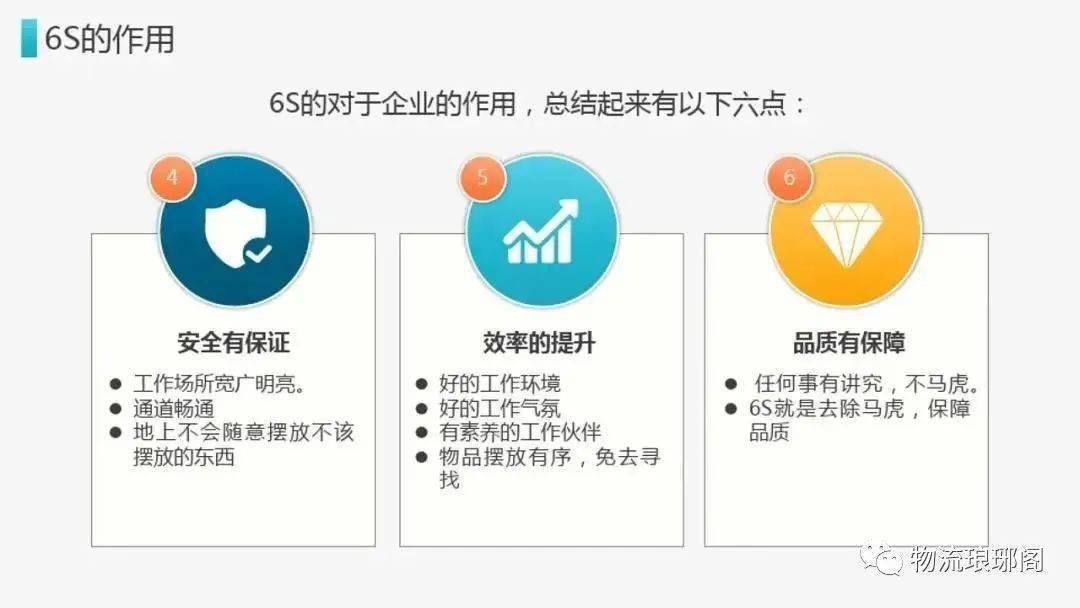 王中王资料大全及其相关解析，功倍释义与落实的重要性