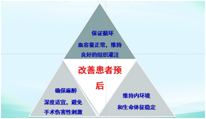 澳门未来展望，精准预测与修正释义的落实之路（2025展望）