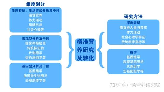 澳门正版图库恢复进展与评分释义的深度解读