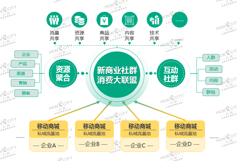 探索澳门未来，解读新澳门正版免费资源及其落实策略