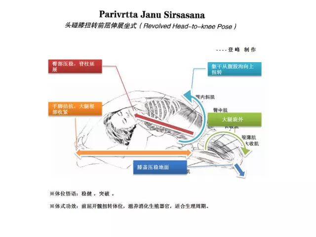 探索成长之路，从高清跑狗图新版看未来的成长释义与落实策略