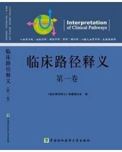 新澳正版资料免费大全，路径释义、解释与落实