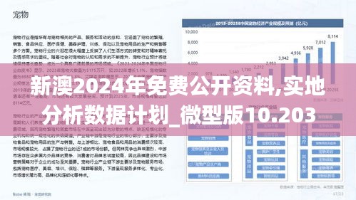 新澳2025年最新版资料，未来释义解释与落实展望