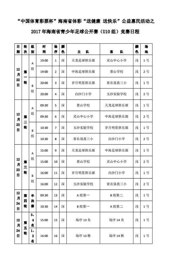 解析澳门彩票文化，新澳门天天彩资料查询与公开释义的落实