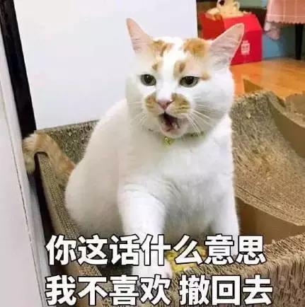 探索四不像生肖图，思路释义与落实策略