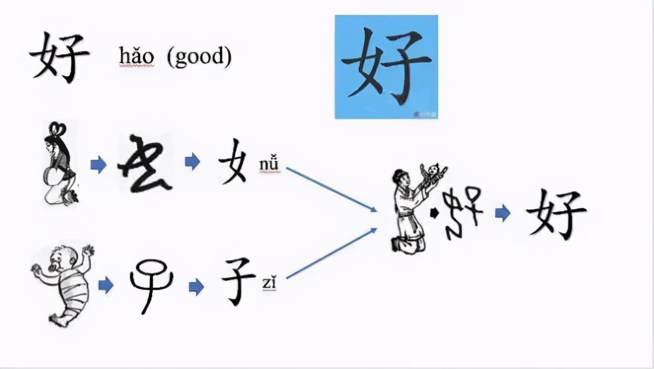 澳门免费精准大全，深入解析与实际应用