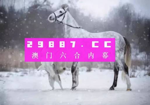 澳门一肖一码精准解析，王中王的预测与释义