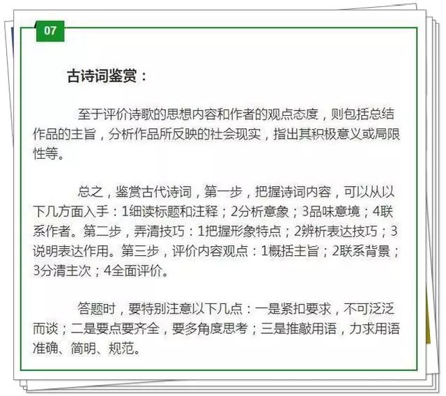 王中王100%的资料详解，先导释义、解释与落实