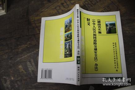 探索未来，新澳资料免费大全一肖与盛大的释义解释落实之路