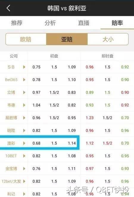 澳门一码中精准一码的投注技巧，开放释义、解释与落实