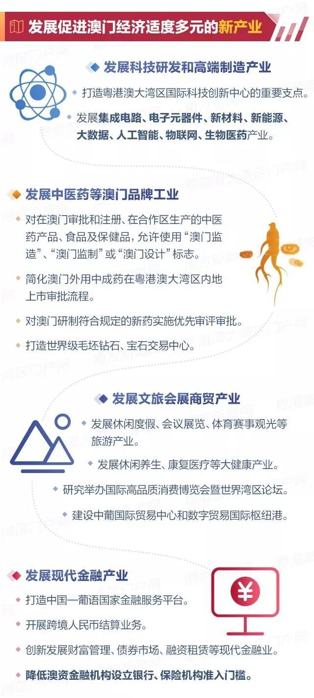 新澳2025年精准资料33期，闪电释义解释落实的深度洞察