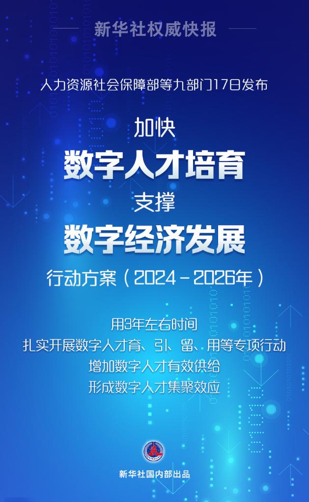 揭秘融资背后的玄机，跑狗平台与落实策略解析